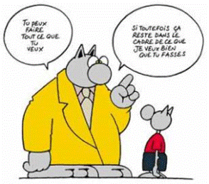 lechat_autorisation.png