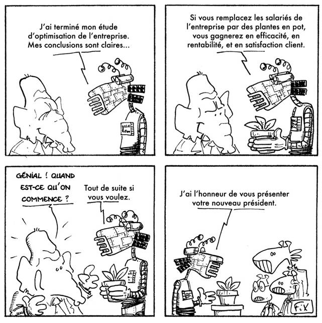 20160720 plantes en pot